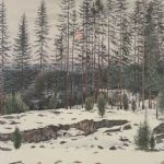 729 2171 Färglitografi 